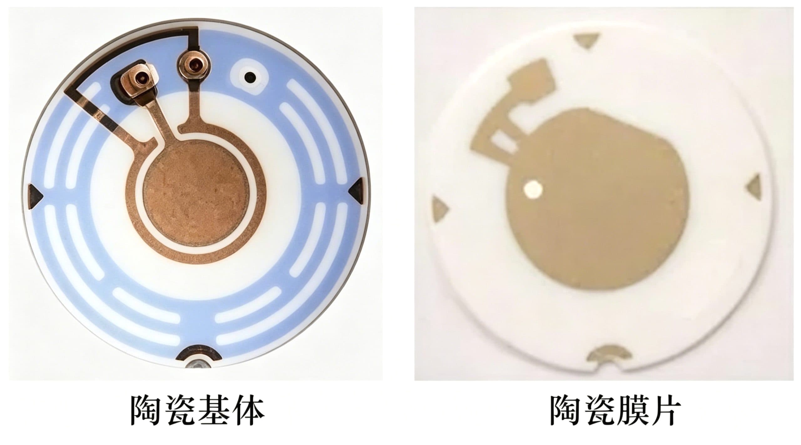 https://www.yuhaipzt.com/wp-content/uploads/2026/09/19_b971ebda5d9fb49d-scaled-1.jpg