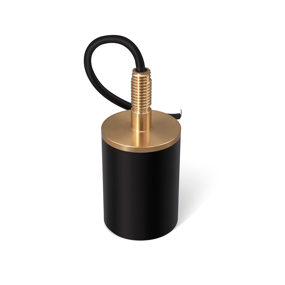 میکروفون W-IVE